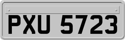 PXU5723