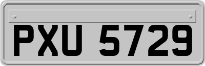 PXU5729