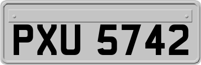 PXU5742