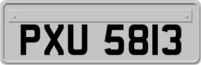 PXU5813