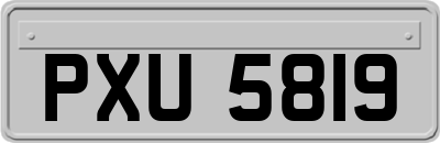 PXU5819