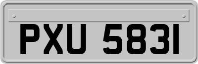 PXU5831