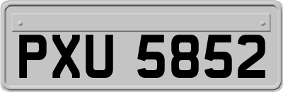 PXU5852