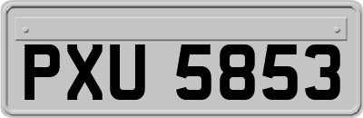 PXU5853