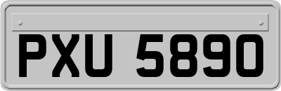 PXU5890