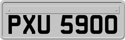 PXU5900