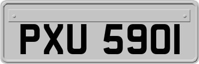 PXU5901