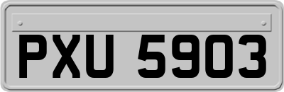 PXU5903