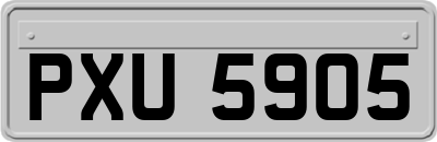 PXU5905