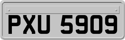 PXU5909