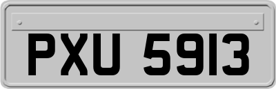 PXU5913