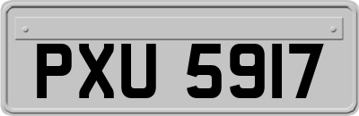 PXU5917