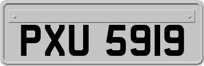 PXU5919