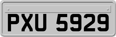 PXU5929