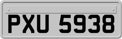 PXU5938