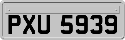 PXU5939