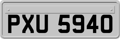 PXU5940