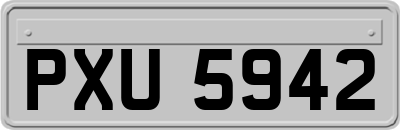 PXU5942