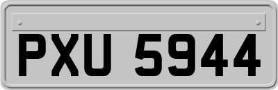 PXU5944