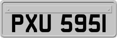 PXU5951