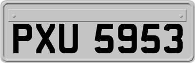 PXU5953