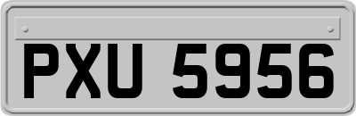 PXU5956