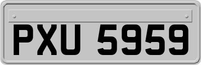 PXU5959