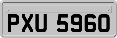 PXU5960