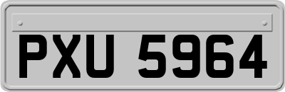 PXU5964