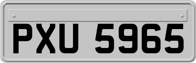 PXU5965