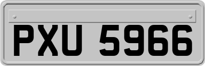 PXU5966