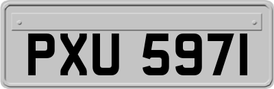 PXU5971