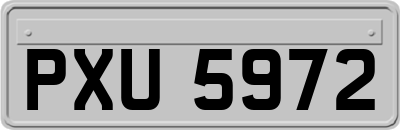 PXU5972