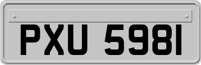 PXU5981