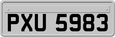 PXU5983