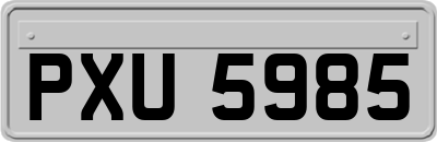 PXU5985