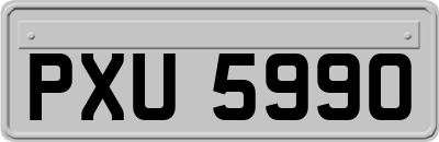 PXU5990