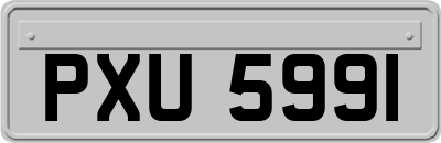 PXU5991