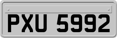 PXU5992