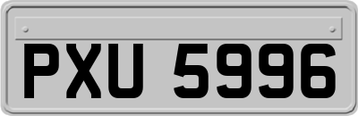 PXU5996