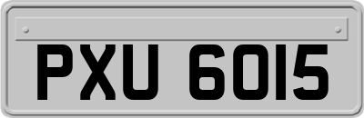 PXU6015