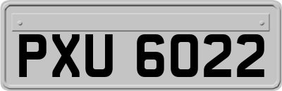 PXU6022