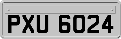 PXU6024