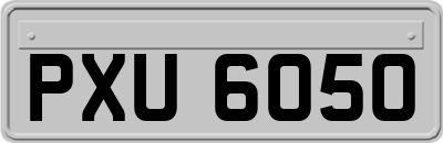 PXU6050