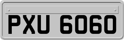 PXU6060