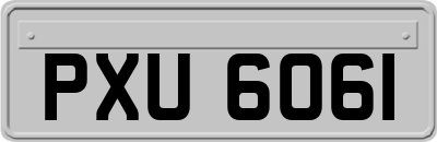 PXU6061