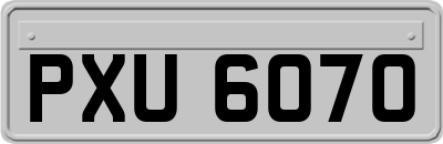 PXU6070