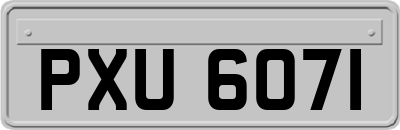 PXU6071