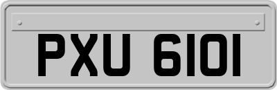 PXU6101