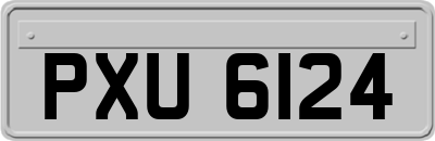 PXU6124